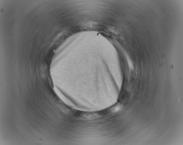 X0000076240712200610261915