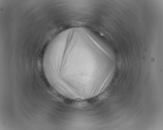 X0000076240716200610261915
