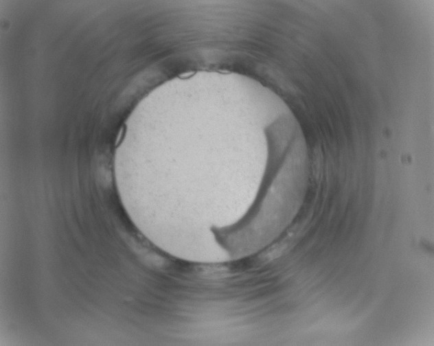 X0000076240719200610261915