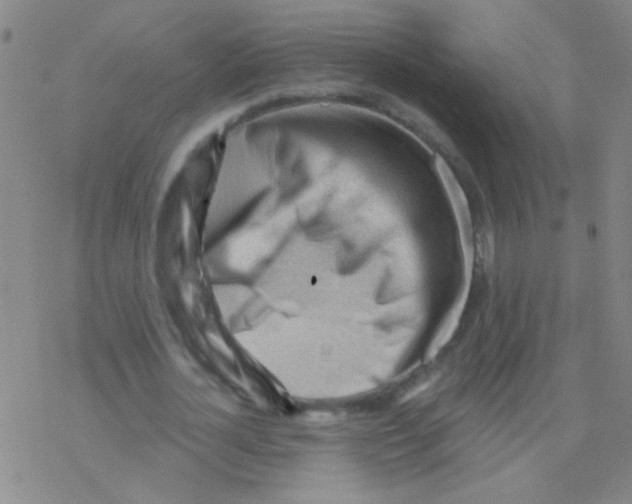 X0000076240724200610261914