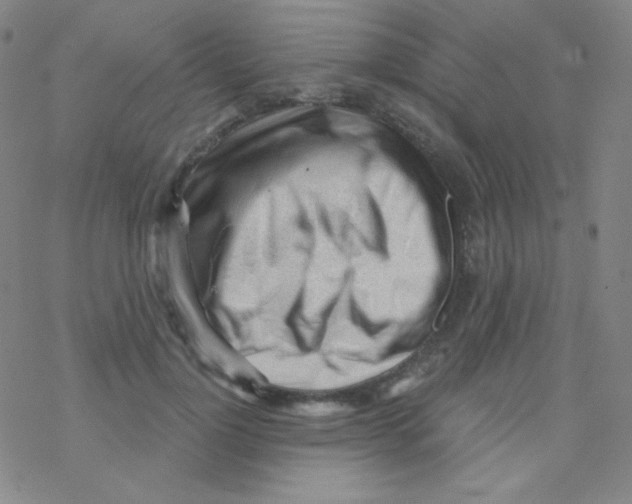X0000076240748200610261915