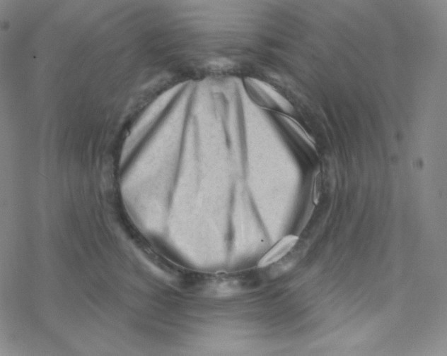 X0000076240760200610261915