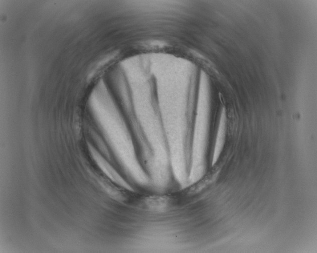 X0000076240762200610261915