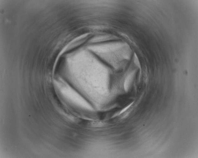 X0000076240766200610261915