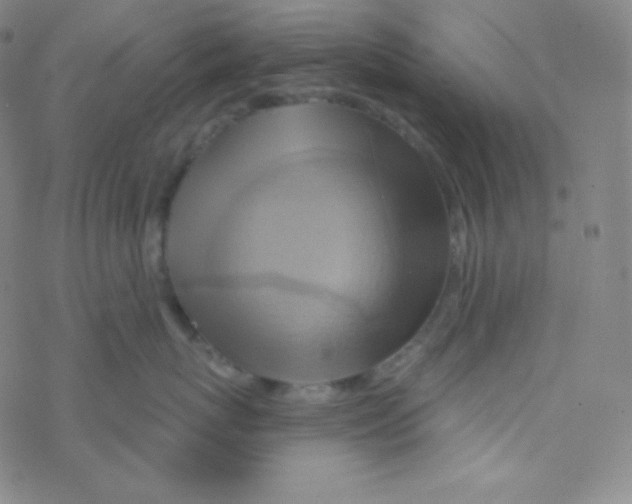 X0000076240767200610261915