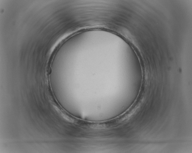 X0000076240789200610261914