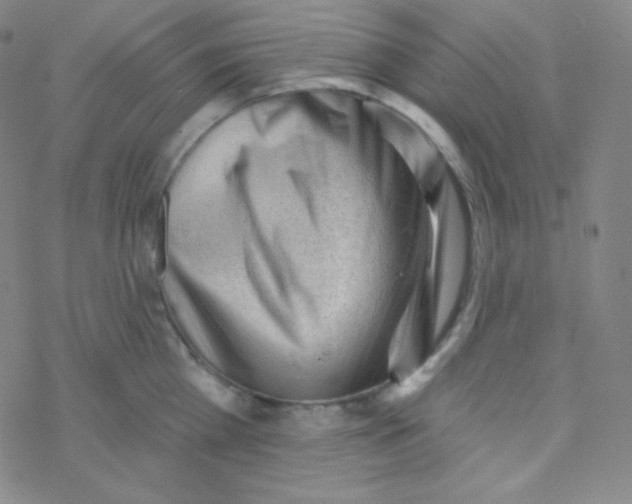 X0000076240809200610261914