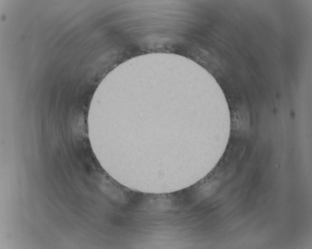 X0000076240820200610261913