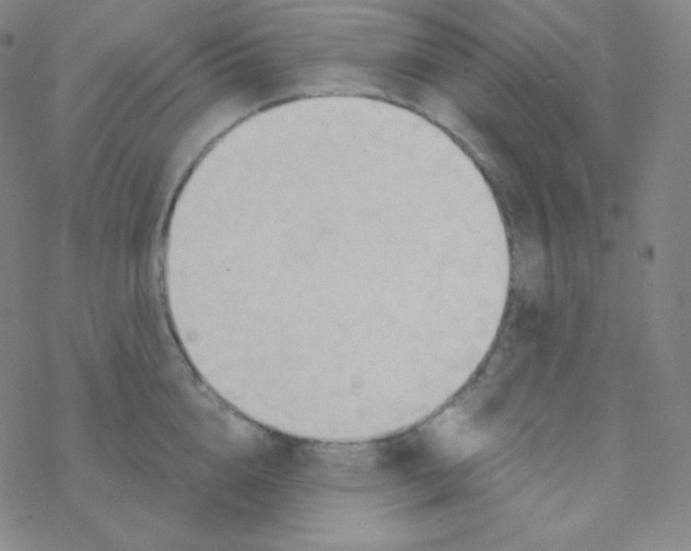 X0000076240856200610261913