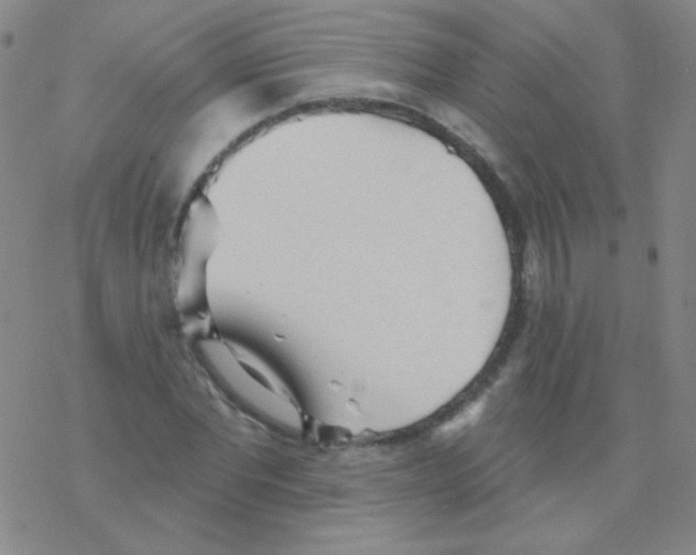 X0000076240877200610261913