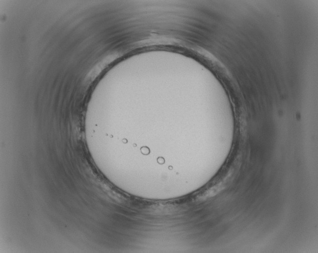 X0000076240929200610261911