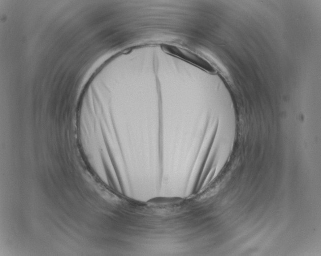 X0000076240948200610261912