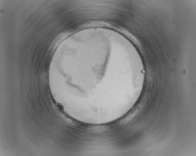 X0000076240953200610261912