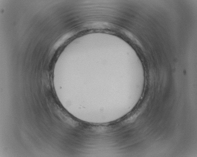 X0000076240970200610261911