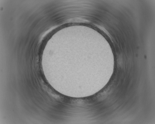 X0000076240971200610261911