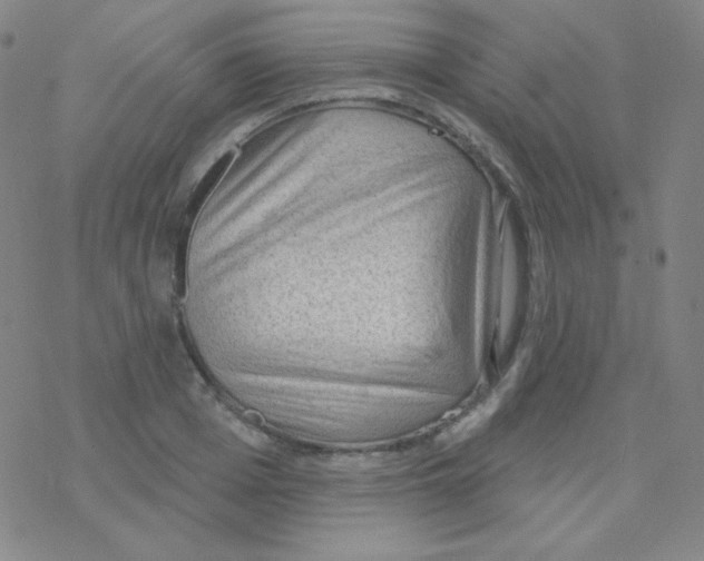 X0000076240985200610261911