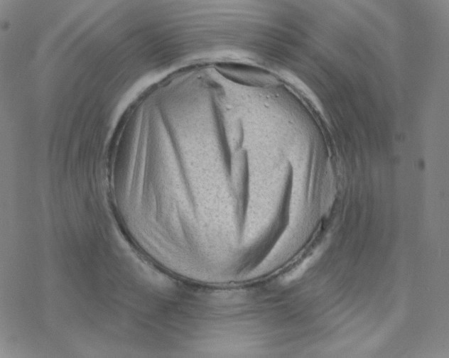X0000076240989200610261911