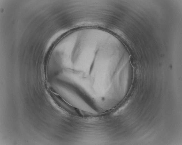X0000076241030200610261910