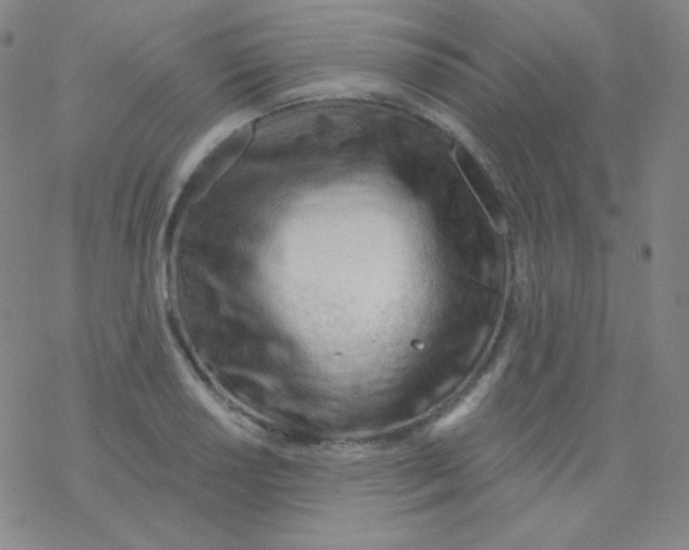 X0000076241034200610261910