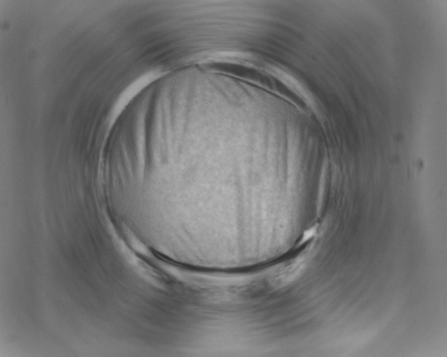 X0000076241050200610261910
