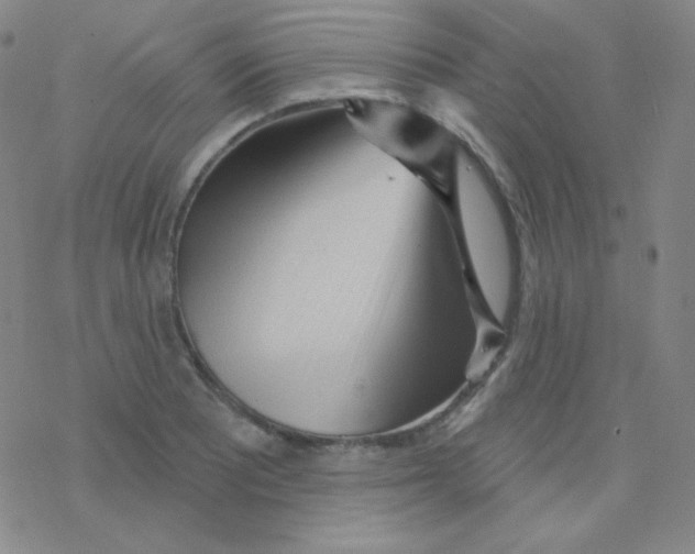 X0000076241081200610261909