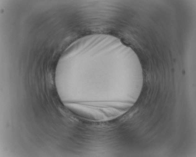 X0000076241106200610261908