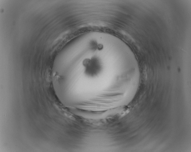 X0000076241110200610261908