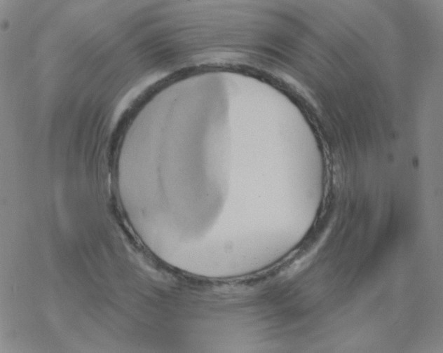 X0000076241117200610261908
