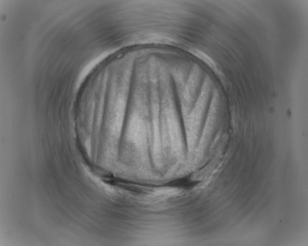 X0000076241120200610261908