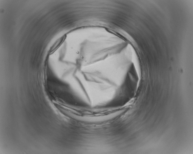 X0000076241144200610261909