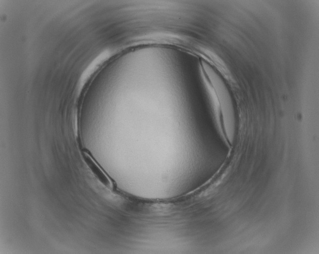 X0000076241180200610261908