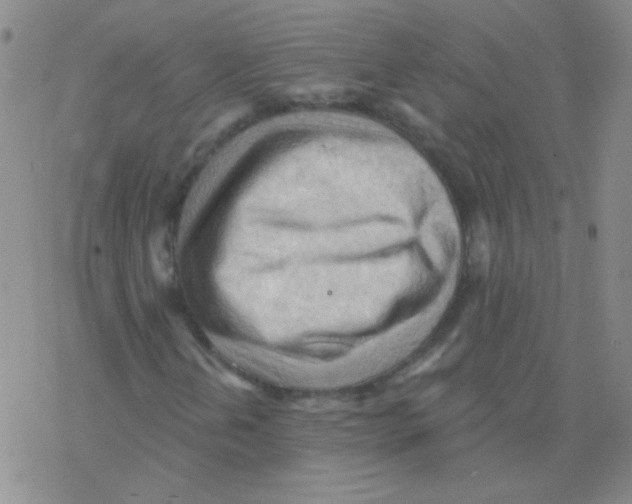 X0000076241202200610261907