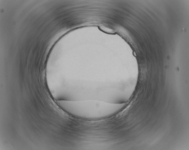 X0000076241284200610261906