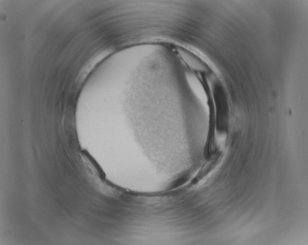 X0000076241289200610261906