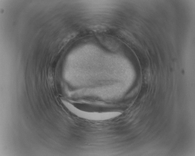 X0000076241298200610261905