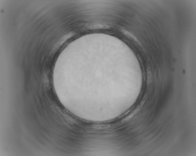 X0000076241305200610261905
