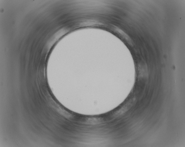 X0000076241322200610261905