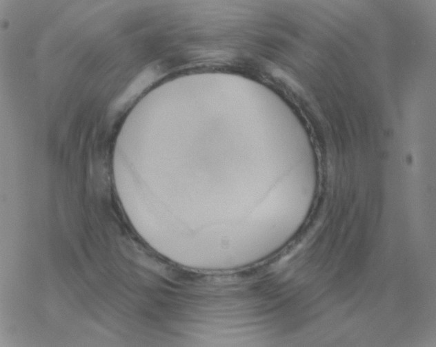 X0000076241354200610261905