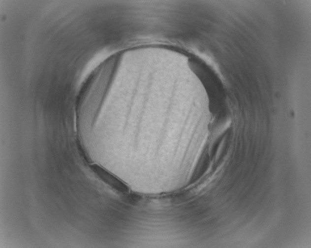 X0000076241365200610261905