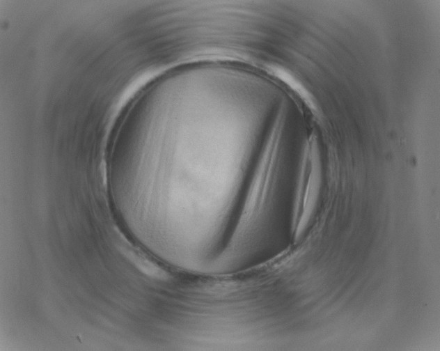 X0000076241372200610261905