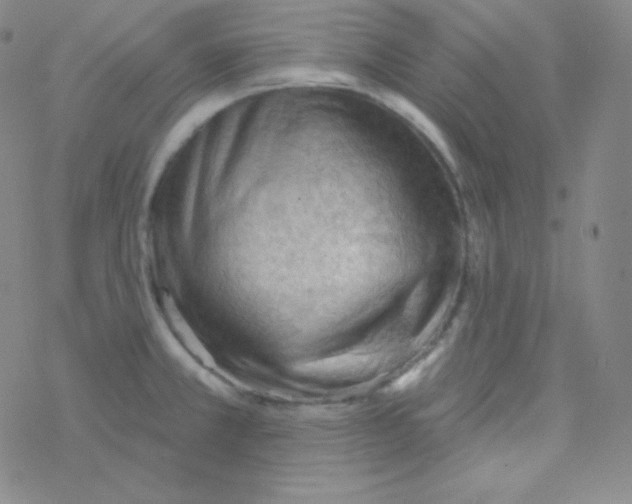 X0000076241381200610261904