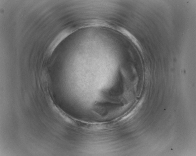 X0000076241385200610261904
