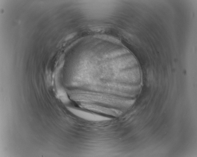 X0000076241394200610261903