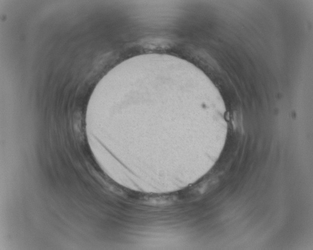 X0000076241396200610261903