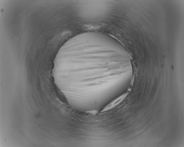 X0000076241441200610261903
