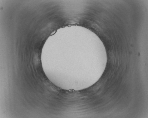 X0000076241442200610261903