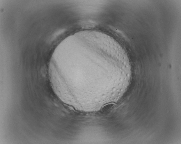 X0000076241445200610261903