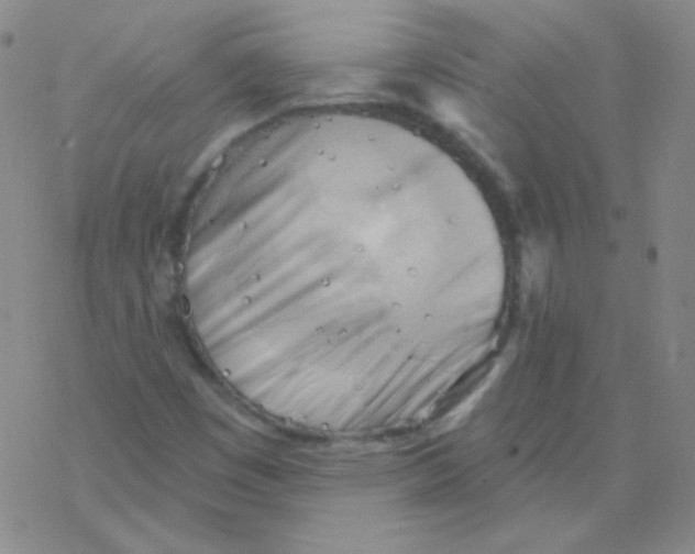 X0000076241449200610261903