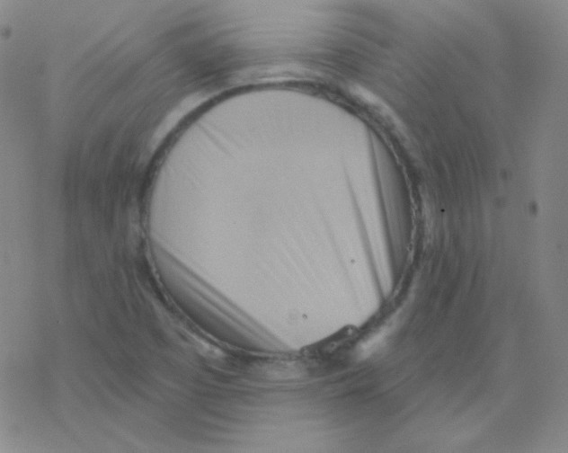 X0000076241457200610261903
