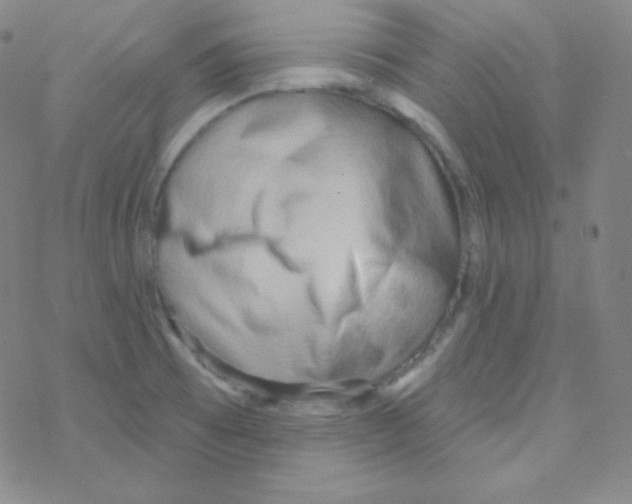 X0000076241473200610261903